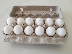 Farm Fresh Eggs - dozen